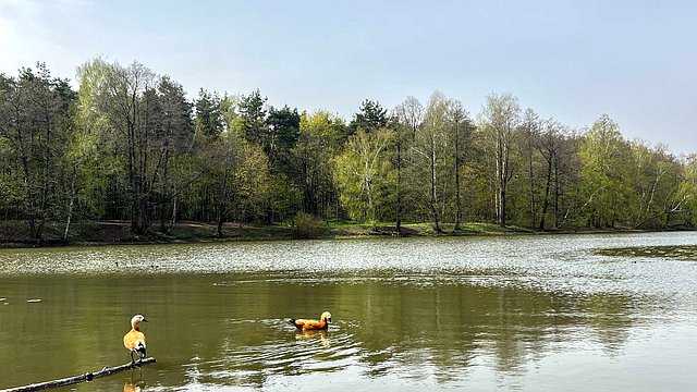 Стартовал всероссийский экологический конкурс "Зеленый Зачет"