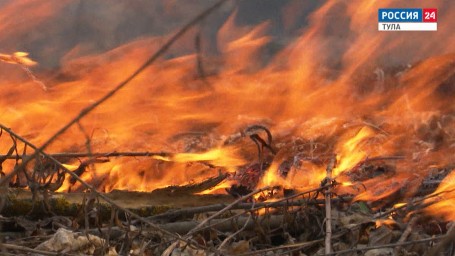 Огонь, кипяток, солнце, медуза: как действовать при ожоге