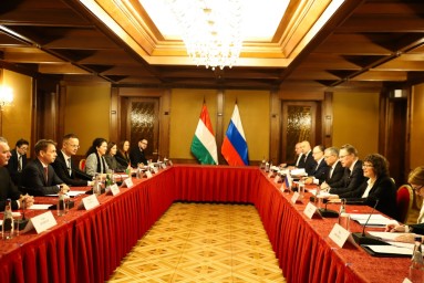 Россия развивает сотрудничество в сфере образования с Венгрией