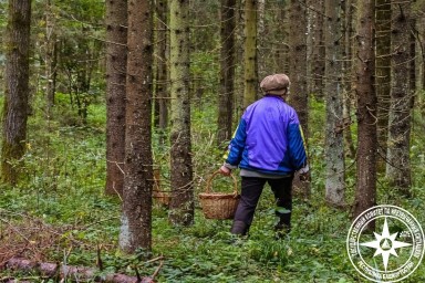 В Башкирии потерялась любительница «тихой охоты»