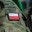 Польша направит около 40 тысяч военных к границе из-за учений «Запад»
