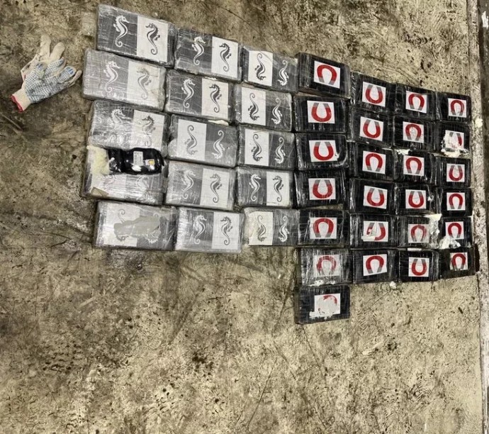 Петербургские таможенники пресекли контрабанду 40 кг наркотиков из Латинской Америки Петербургские таможенники пресекли контрабанду 40 кг наркотиков из Латинской Америки