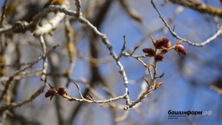 В Башкирии похолодает до -12 градусов