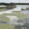 Стартовала подкачка воды в пересыхающие ильмени Астраханской области