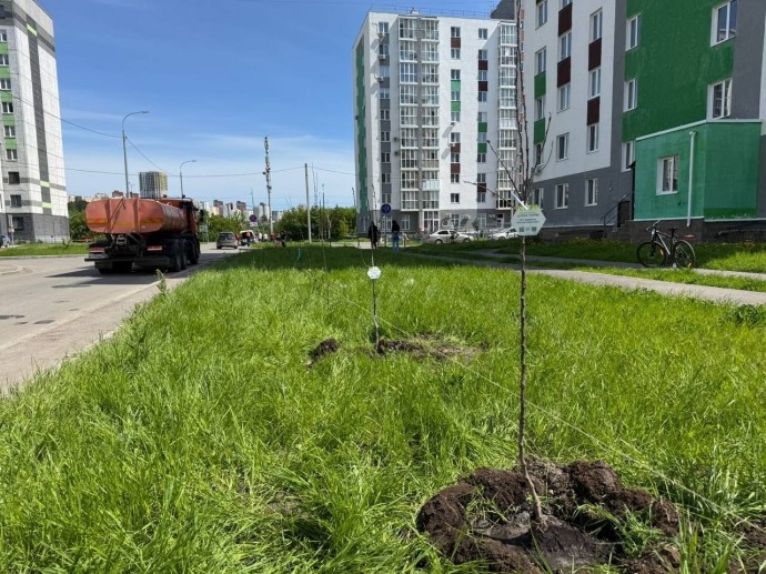 В Уфе появилась новая «Аллея Терры»
