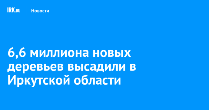 6,6 миллиона деревьев высадили в Иркутской области