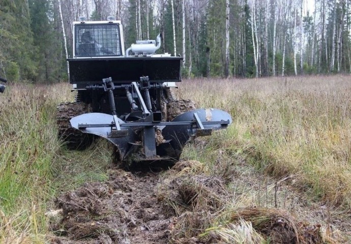 В Ярославской области подготовят около 3,3 тысячи гектаров под искусственное лесовосстановление
