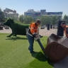 В  центре Улан-Удэ принялись пылесосить газоны с топиариями