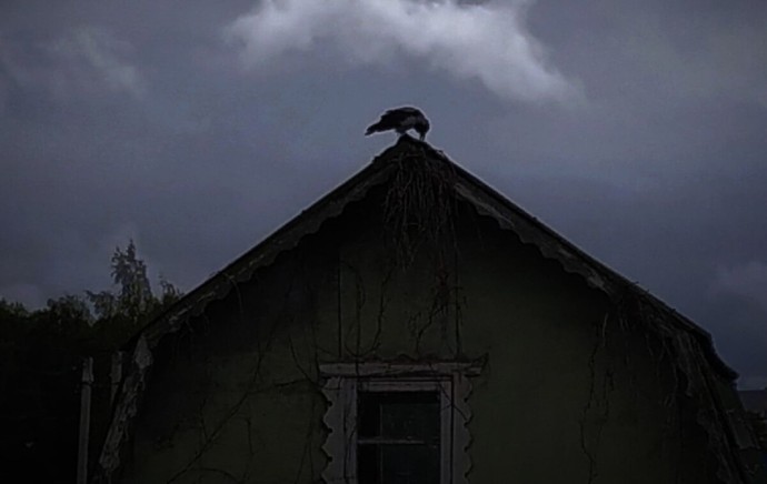 Костромская область пошла на дно рейтинга ЗОЖ