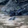 Крокодила с растерзанным школьником в пасти сняли на видео