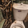 В Кирове многодетная семья готовится к рождению шестого ребенка среди канализационных стоков