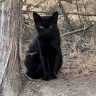 У Овнов день будет жутко скучным, Скорпионы смогут балансировать на лезвии бритвы