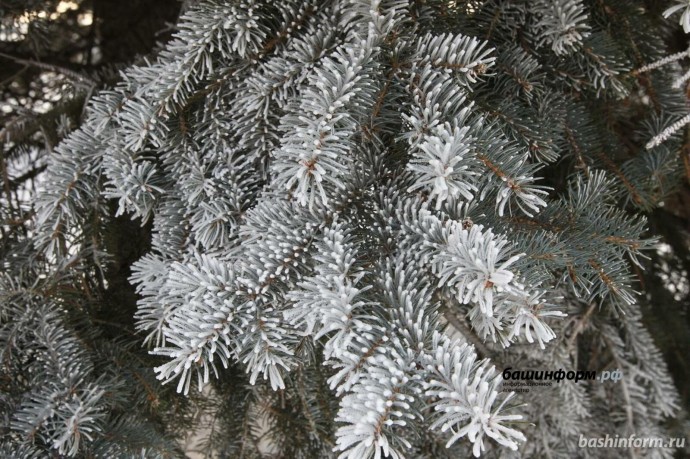 На Башкирию надвигаются морозы до -31