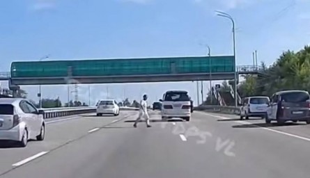 Опасное поведение мужчины на трассе в пригороде Владивостока едва не привело к аварии