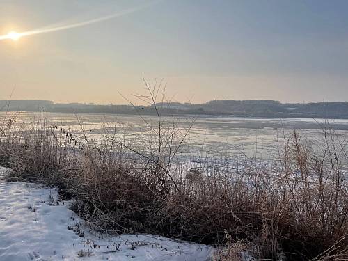 Уровень Амура упал в районе Благовещенска Уровень Амура упал в районе Благовещенска