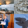 Чем запомнилась уходящая неделя в Якутии. Топ-10 новостей
