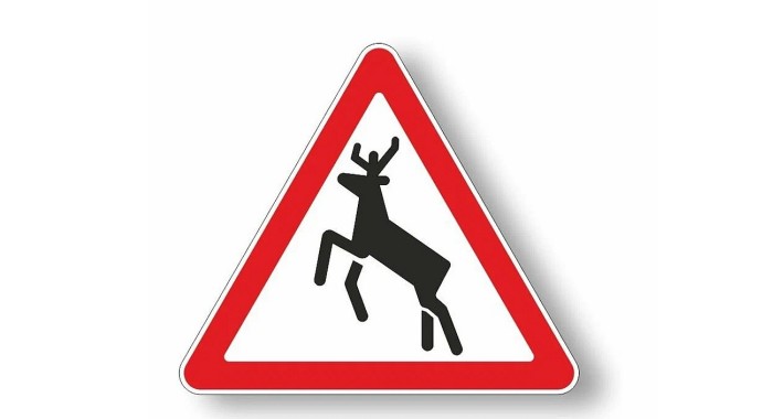 В ДТП с лосем в Богородицком районе пострадали мужчина и двое детей