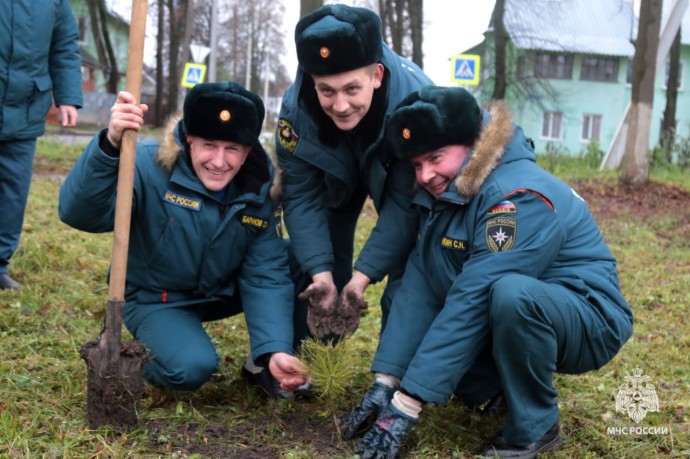 Тульские спасатели высадили 35 сосен в честь юбилея МЧС России Тульские спасатели высадили 35 сосен в честь юбилея МЧС России