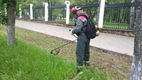 Подрядчиков оштрафовали за нескошенную траву