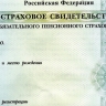 За 30 лет в Республике Алтай оформлено более 355 тысяч СНИЛС
