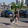 Синоптик Вильфанд порекомендовал москвичам переждать жару в Подмосковье