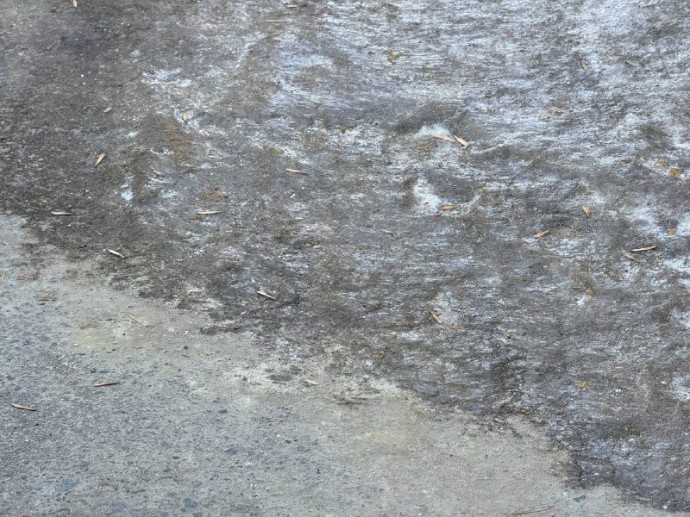 Северный циклон принесет похолодание в Пензенскую область Северный циклон принесет похолодание в Пензенскую область