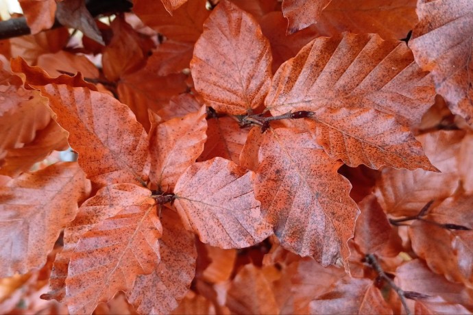 В среду в Пензенской области потеплеет и пройдут небольшие дожди