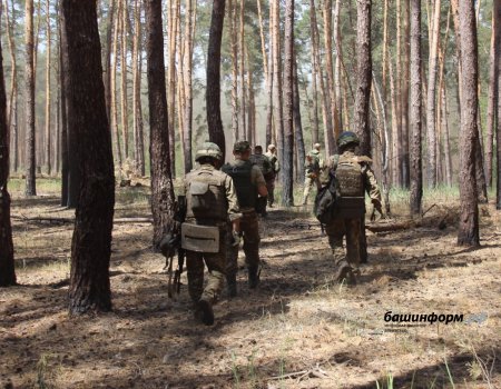 В Башкирии разъяснили, как получить статус участника СВО В Башкирии разъяснили, как получить статус участника СВО