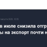 Россия в июле снизила отгрузки пшеницы на экспорт почти на 18%