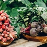 Морковь, картофель, свекла и лук за месяц подешевели на треть