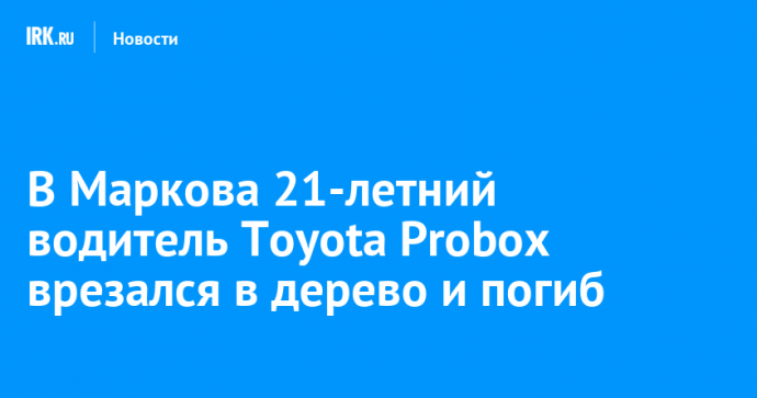 В Маркова 21-летний водитель Toyota Probox врезался в дерево и погиб
