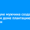 В Куйтуне мужчина создал в частном доме плантацию конопли