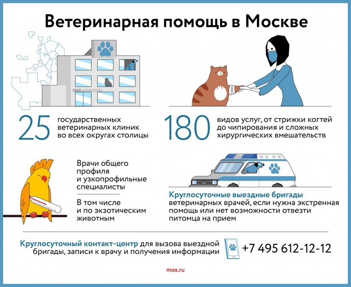 Ветеринарная помощь в Москве
