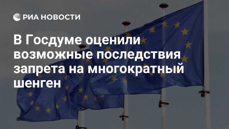 В Госдуме оценили возможные последствия запрета на многократный шенген