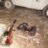 Три браконьера пойдут под суд за убийство косули