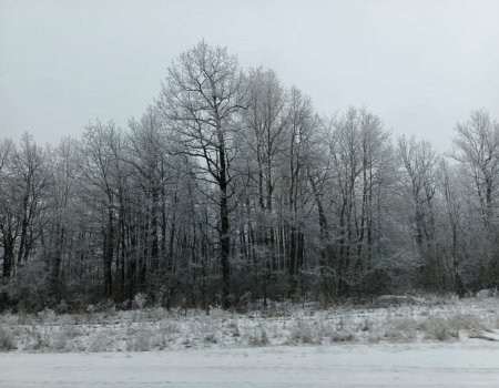 Жители Башкирии еще долго не увидят солнца Жители Башкирии еще долго не увидят солнца