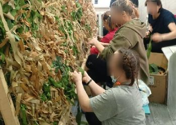 Пациенты амурского наркодиспансера изготавливают сети и спички для фронта
