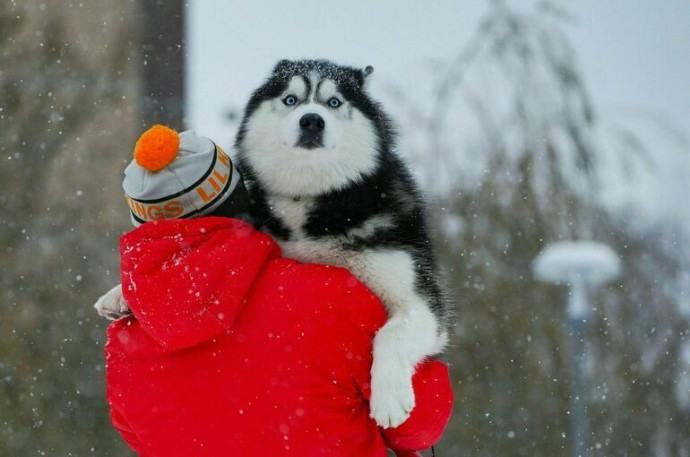 Первый серьезный снегопад пройдет в Москве в ночь на 15 ноября Первый серьезный снегопад пройдет в Москве в ночь на 15 ноября