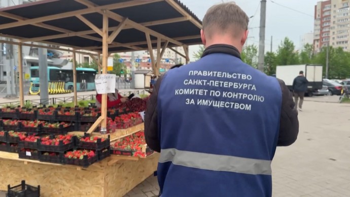 В Петербурге вступил в силу закон о запрете разносной торговли, в том числе – у метро и школ
