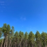 Три лесных пожара потушили за сутки в Якутии