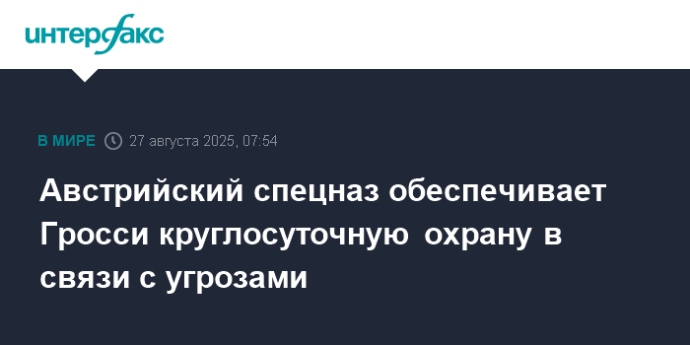 Австрийский спецназ обеспечивает Гросси круглосуточную охрану в связи с угрозами