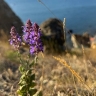 В Амурской области будет жаркая пятница — до +33°