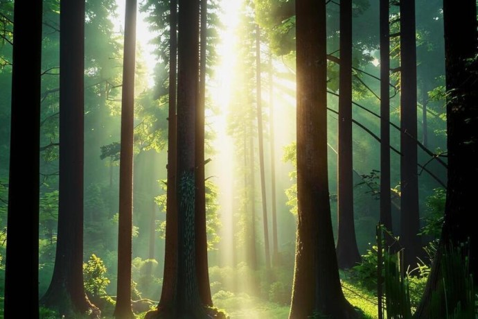 В трёх районах Дагестана установили кормушки для подкормки диких животных