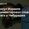 Генконсул Израиля прокомментировал слова депутата о Чебурашке