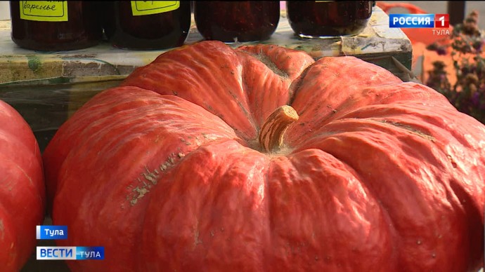 Юрист предупредил туляков об опасных символах на Хэллоуин: пентаграммы могут привести к штрафу Юрист предупредил туляков об опасных символах на Хэллоуин: пентаграммы могут привести к штрафу
