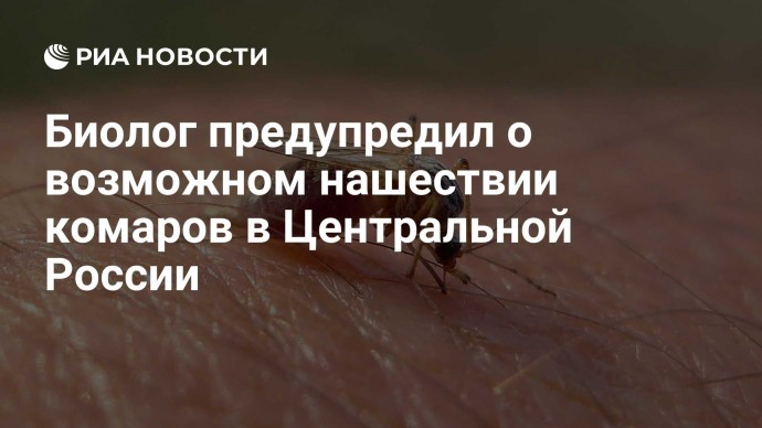 Биолог предупредил о возможном нашествии комаров в Центральной России