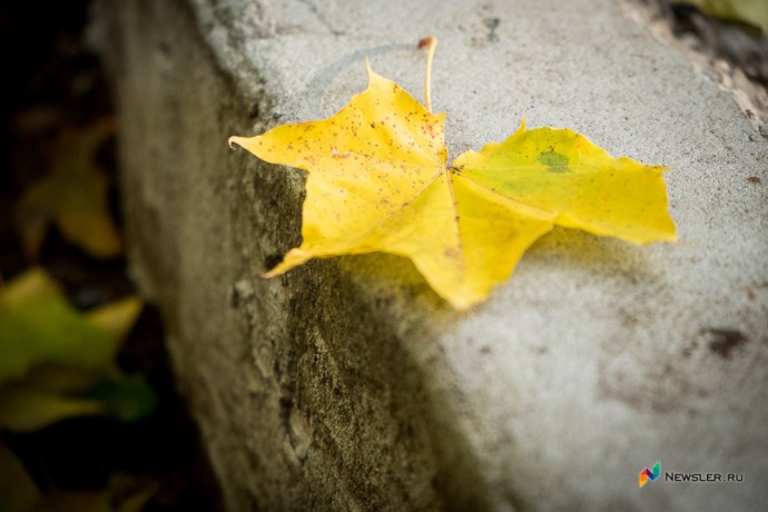 Снег не выпадет в конце сентября