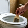 Бросьте чайный пакетик в унитаз — результат вас удивит, совет от горничной