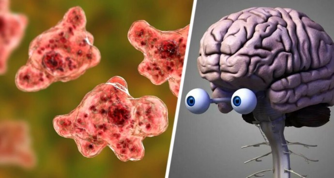 Мужчина умер на популярном курорте от амёбы, пожирающей мозг