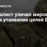 Журналист уличил мировые СМИ в утаивании целей ВСУ...